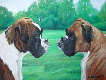 Boxer